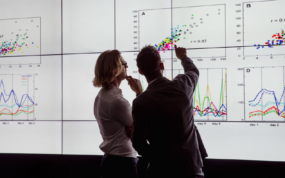 The Allure and Limits of Employee Engagement Surveys